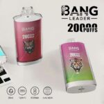 Bang Leader 20K puffs master case 120 pack bulk UK distribution
