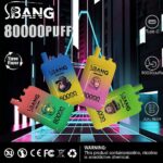 Bang Leader 80K puffs master case 120 pack bulk UK distribution