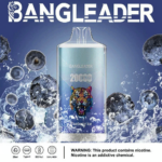 Bang Leader 20K Puffs(Box of 10) - Imagen 2