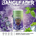 Bang Leader 20K Puffs(Box of 10) - Imagen 3