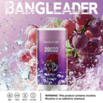 Bang Leader 20K Puffs(Box of 10) - Imagen 5