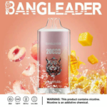 Bang Leader 20K Puffs(Box of 10) - Imagen 6