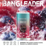 Bang Leader 20K Puffs(Box of 10) - Imagen 7