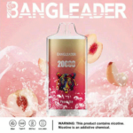 Bang Leader 20K Puffs(Box of 10) - Imagen 8