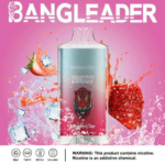 Bang Leader 20K Puffs(Box of 10) - Imagen 9
