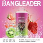 Bang Leader 20K Puffs(Box of 10) - Imagen 10