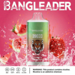 Bang Leader 20K Puffs(Box of 10) - Imagen 11