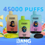 Bang Leader 45K puffs bulk 120 pack master case UK wholesale