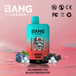 Bang Leader 45k Puffs(Box of 10) - Image 2