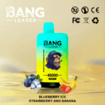 Bang Leader 45k Puffs(Box of 10) - Image 3