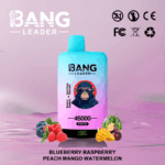 Bang Leader 45k Puffs(Box of 10) - Image 4