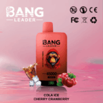 Bang Leader 45k Puffs(Box of 10) - Image 6