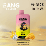 Bang Leader 45k Puffs(Box of 10) - Image 7