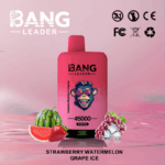 Bang Leader 45k Puffs(Box of 10) - Image 10