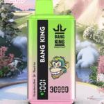 Bang King 30k Puffs 2 In 1(Box of 10) - Image 7