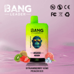 Bang Leader 45k Puffs(Box of 10) - Image 11