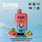 Bang Leader 45k Puffs(Box of 10) - Image 12