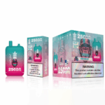 Bang King 25k Puffs(Box of 10) - Image 10