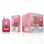 Bang King 25k Puffs(Box of 10) - Image 12