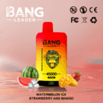 Bang Leader 45k Puffs(Box of 10) - Image 13
